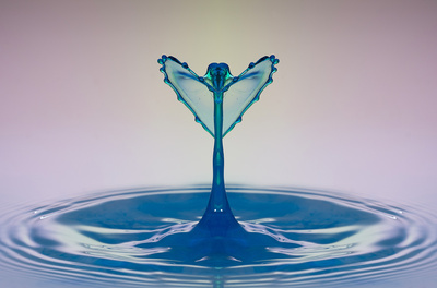 Tipps zum Thema Wassersparen